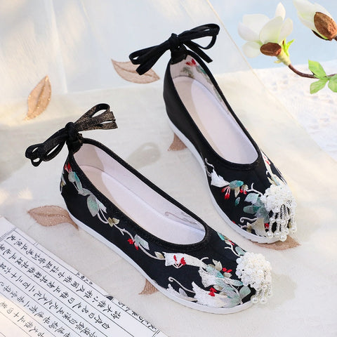 Women's Han Clothing Archaistic Ancient Costume Embroidered Height Canvas Shoes