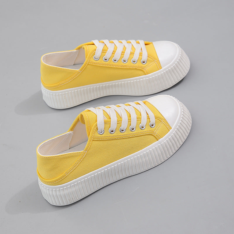 Women's Spring Trendy Easy Wear Cloth Canvas Shoes